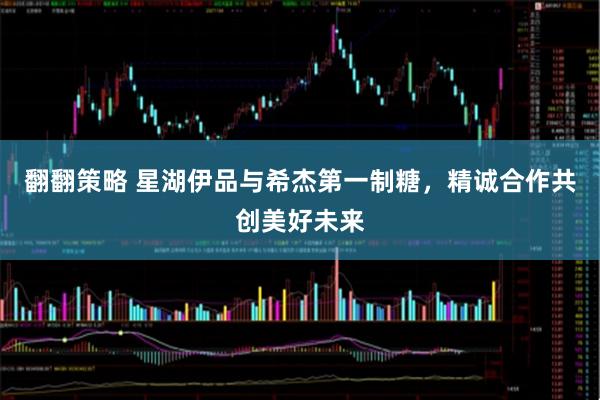 翻翻策略 星湖伊品与希杰第一制糖，精诚合作共创美好未来